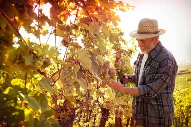 enjoy-the-crisp-autumn-air-and-make-lasting-memories