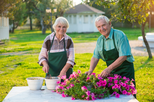 create-your-perfect-apartment-garden-with-these-helpful-tips